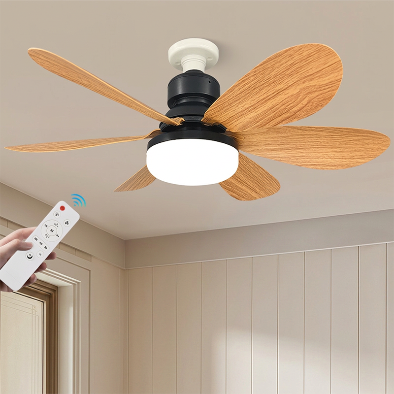 2-in-1 Smart Ceiling Fan Light