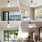 ⏳LAST DAY SALE 64% OFF🔥40W LED Ceiling Fan Light – 20.5” Ultra-Quiet with Remote 🎯 | E27 + FREE B22 Adapter 🔌 | For Bedroom 😴, Kitchen 👩‍🍳 & Garage 🛠️ – UK Ready! 🇬🇧
