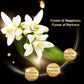 🥳2026 HOT SALE🥳💞50K+ SOLD! 50% OFF! Golden Perfume Soap – Fades Dark Spots, Deep Pore Cleanse, Brightens Skin. Floral luxury daily. 🌸✨
