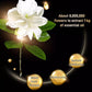 🥳2026 HOT SALE🥳💞50K+ SOLD! 50% OFF! Golden Perfume Soap – Fades Dark Spots, Deep Pore Cleanse, Brightens Skin. Floral luxury daily. 🌸✨