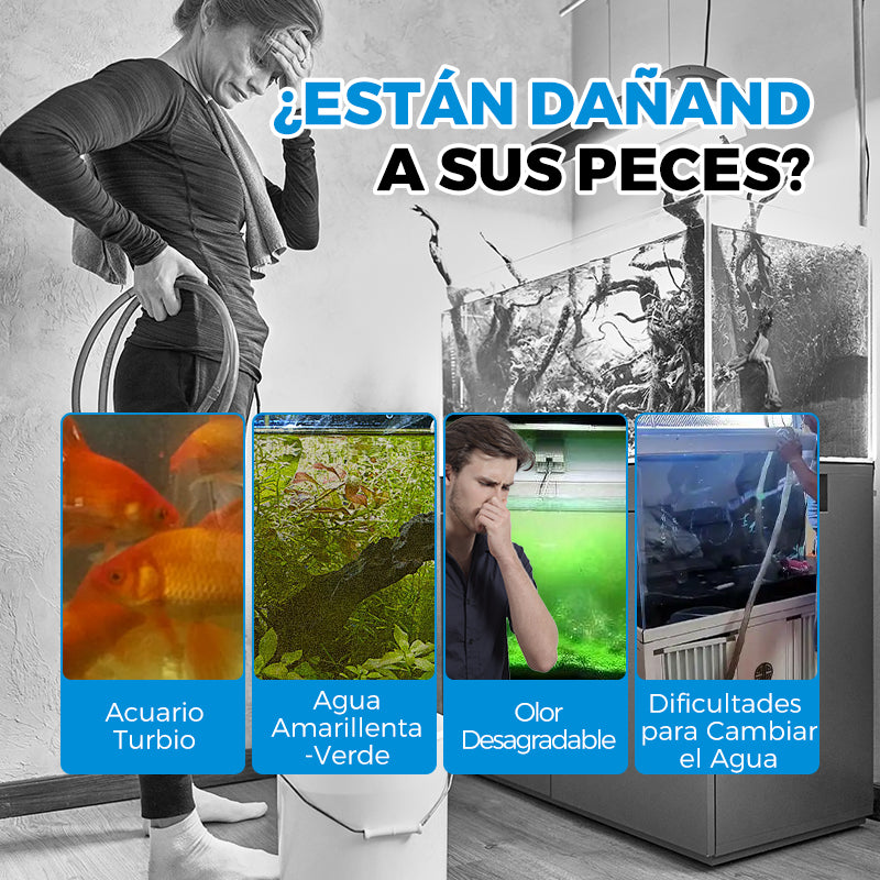 Sistema de Filtración Automática para Acuarios