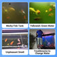 💥Hot sale♻️💧Powerful Aquarium Water Purification Tablet