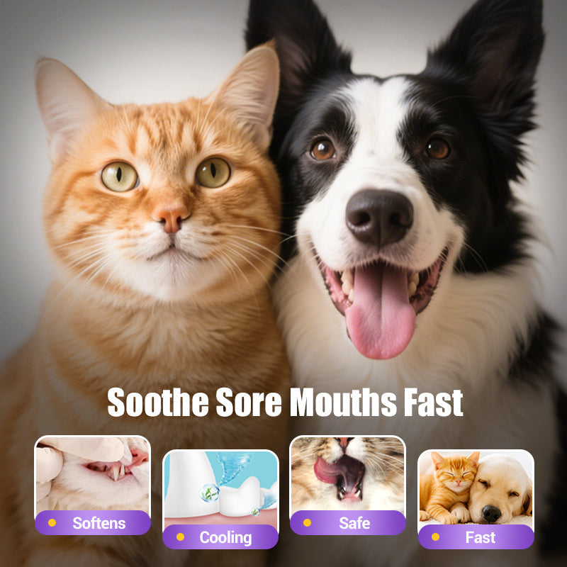 🥇BUY 1 GET 1 FREE🔥Pet Oral Repair Gel Toothbrush 🐱🐶