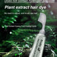 🎁Buy 1 Get 1 Free|Fruit Essence Hair Dyeing Comb – Cream & Comb in One, No-Mix Plant Formula