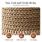 🎀 52% DISCOUNT 👒 | Straw Hat with Retro Bow – Foldable & Breathable for Summer