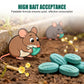 🔥 LAST DAY PROMOTION - 50%OFF 🔥High-Potency Rodent Bait