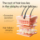 Anti Hair Loss Shampoo for Thinning Hair | Reduce Daily Shedding & Strengthen Roots | For Men & Women