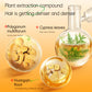 Anti Hair Loss Shampoo for Thinning Hair | Reduce Daily Shedding & Strengthen Roots | For Men & Women