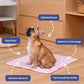 🔥Hot sales 48 % Off💥Summer Pet Cooling Mat
