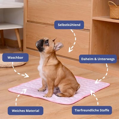 🔥Hot sales 48 % Off💥Summer Pet Cooling Mat
