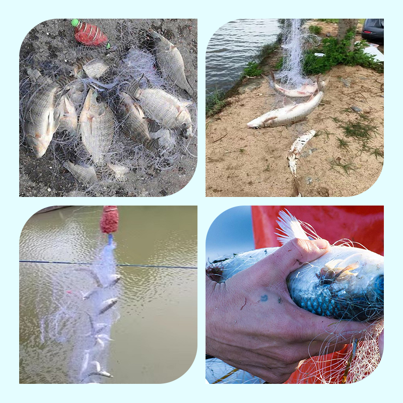 🔥Buy 1 Get 1 Free🔥Fishing Gill Net with Spring Bait Trap
