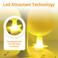 ⌛🔥Sticky Fruit Fly Trap Ball with Stand & LED