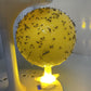 ⌛🔥Sticky Fruit Fly Trap Ball with Stand & LED