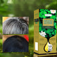 🥳2026 HOT SALE🥳Long-Lasting Plant-Based Foam Hair Dye