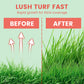 Grass Seeds for Lawn and Golf Course
