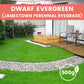 Grass Seeds for Lawn and Golf Course