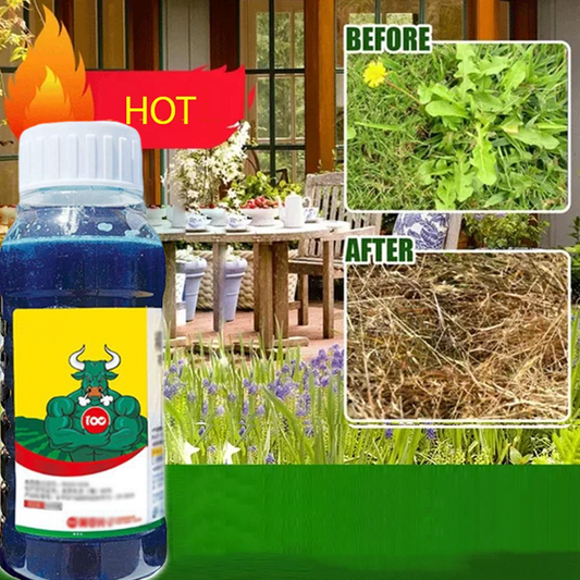 Powerful Concentrated Weed Killer | Strong Weedkiller Concentrate