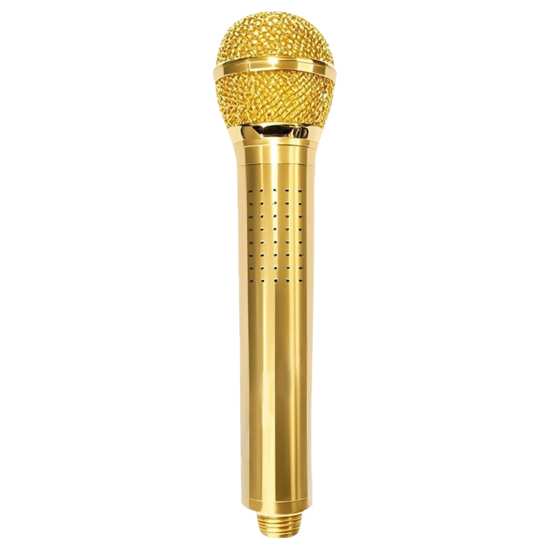 Creative Microphone Shower Head