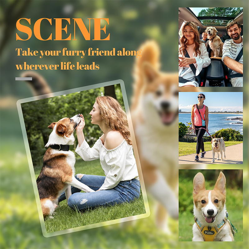 🐶😺My Pet keyring|🎁buy more save more