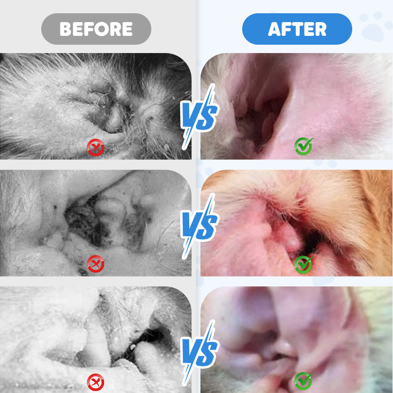 ✨️🎁Ear Cleaner for Dogs & Cats