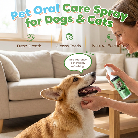 🔥HOT SALE 47% OFF🎁⚡Teeth Cleaning Spray for Pets|BUY MORE SAVE MORE