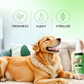 🔥HOT SALE 47% OFF🎁⚡Teeth Cleaning Spray for Pets|BUY MORE SAVE MORE