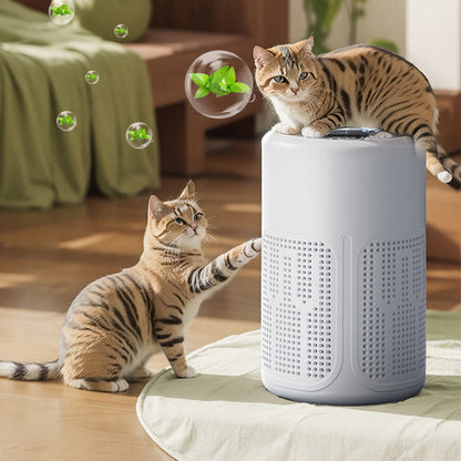 🔥 Compact home air purifier – 2026 bestseller – Quiet, energy-efficient, and perfect for allergy sufferers, dust, and pet hair 🏠