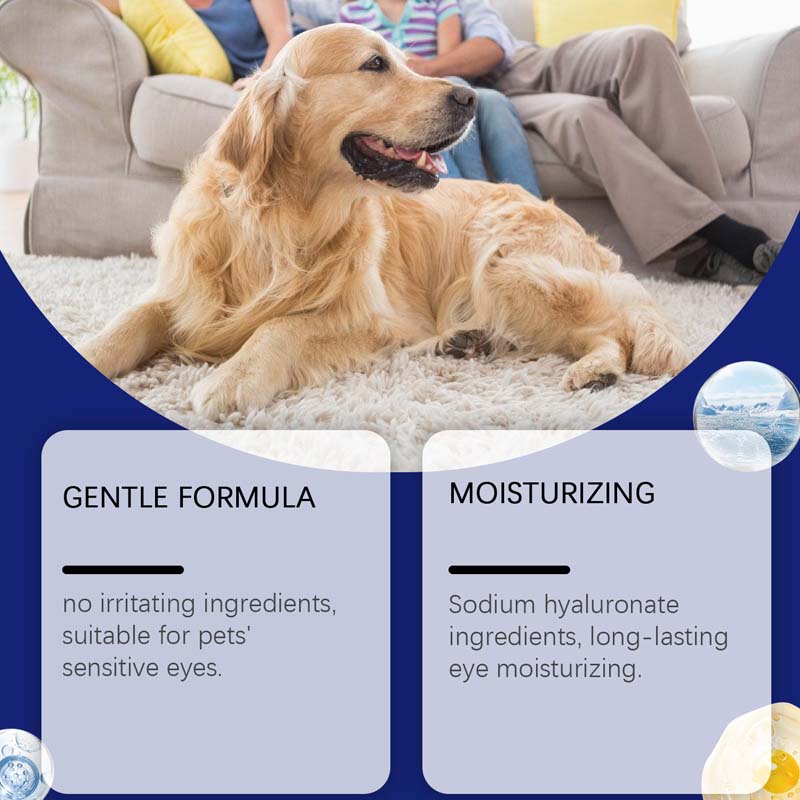 🥳2026 HOT SALE🥳💞50K+ SOLD!🧴💧 50% OFF! Gentle Pet Eye Drops – Portable & easy to use. Prevents tear stains, washes away debris. For dogs & cats.🛡️🌿