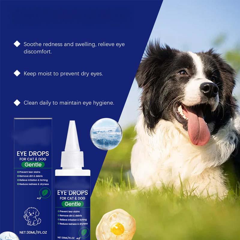 🥳2026 HOT SALE🥳💞50K+ SOLD!🧴💧 50% OFF! Gentle Pet Eye Drops – Portable & easy to use. Prevents tear stains, washes away debris. For dogs & cats.🛡️🌿