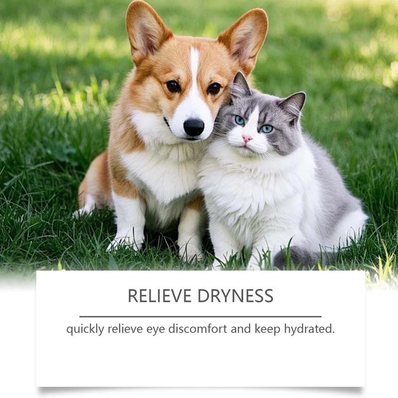 🥳2026 HOT SALE🥳💞50K+ SOLD!🧴💧 50% OFF! Gentle Pet Eye Drops – Portable & easy to use. Prevents tear stains, washes away debris. For dogs & cats.🛡️🌿