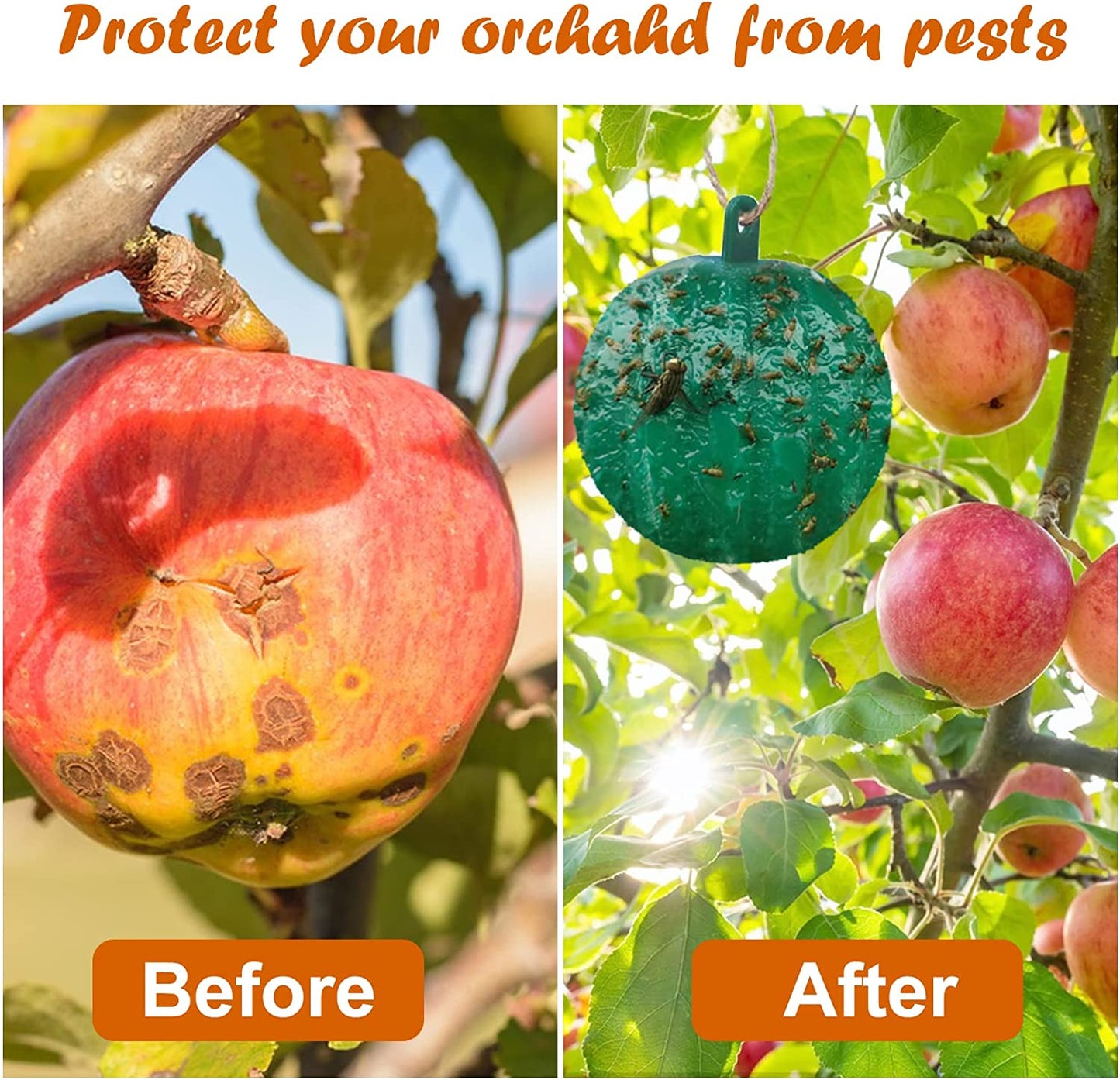 🔥Last Day Promotion - 49% OFF🔥Hanging Environmental Fruit Fly Traps Sticky Traps-BUY 1 GET 1 FREE