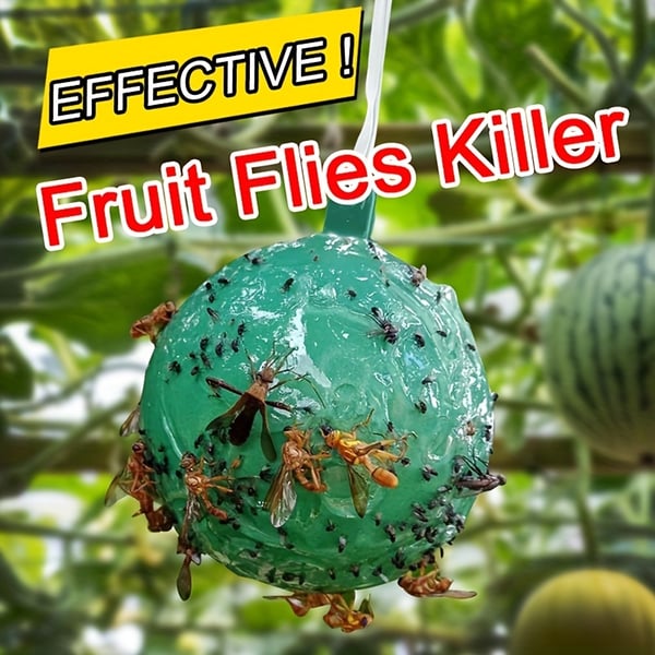 🔥Last Day Promotion - 49% OFF🔥Hanging Environmental Fruit Fly Traps Sticky Traps-BUY 1 GET 1 FREE
