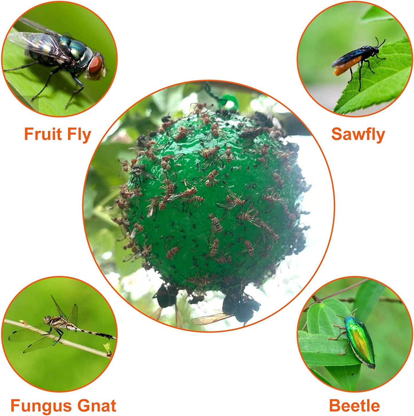🔥Last Day Promotion - 49% OFF🔥Hanging Environmental Fruit Fly Traps Sticky Traps-BUY 1 GET 1 FREE