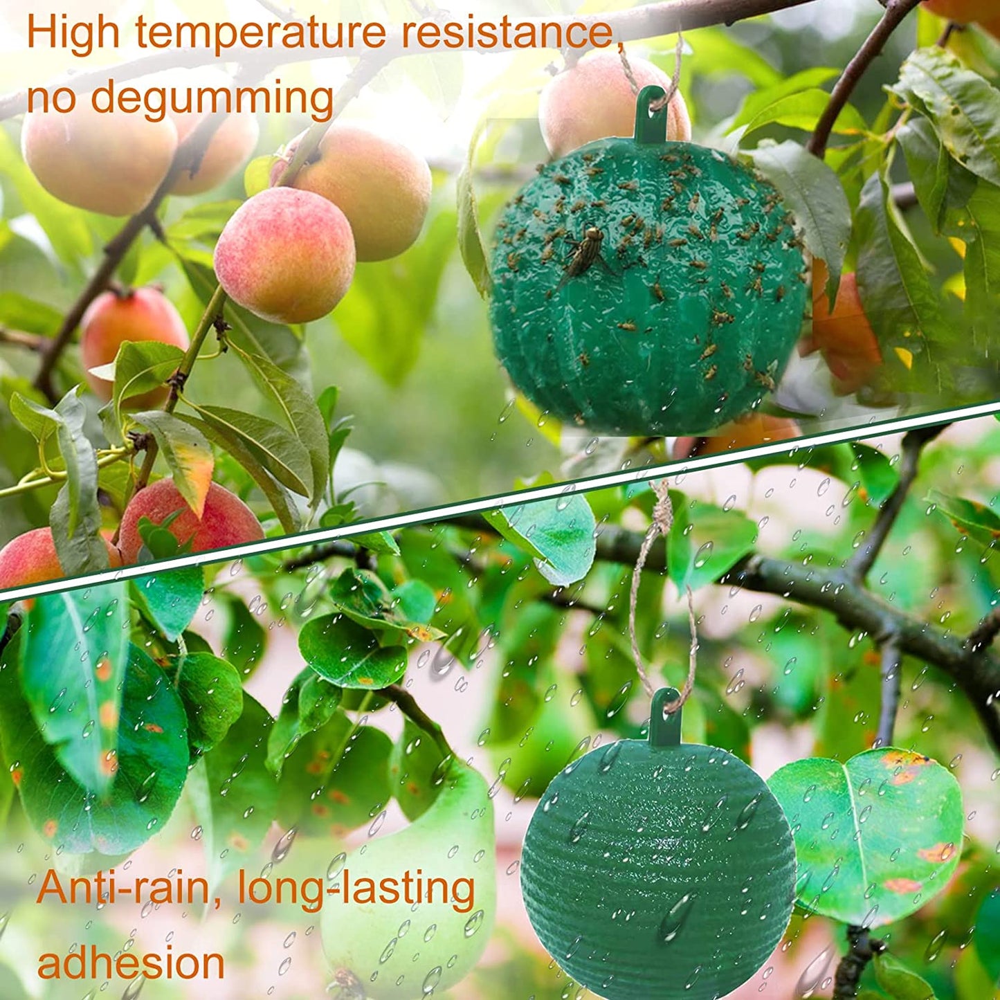 🔥Last Day Promotion - 49% OFF🔥Hanging Environmental Fruit Fly Traps Sticky Traps-BUY 1 GET 1 FREE