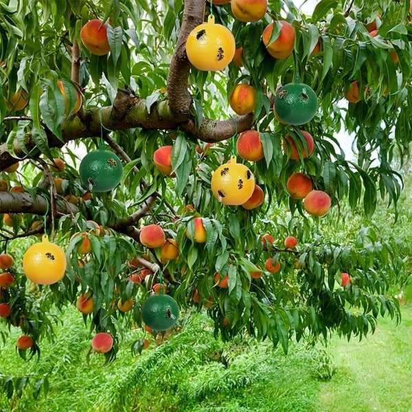🔥Last Day Promotion - 49% OFF🔥Hanging Environmental Fruit Fly Traps Sticky Traps-BUY 1 GET 1 FREE