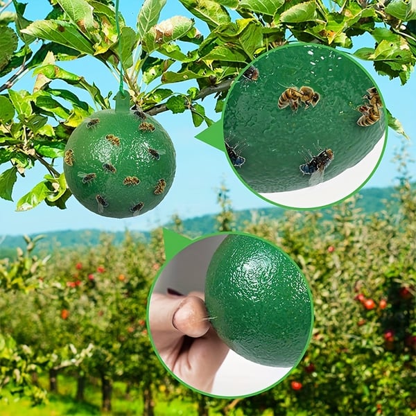🔥Last Day Promotion - 49% OFF🔥Hanging Environmental Fruit Fly Traps Sticky Traps-BUY 1 GET 1 FREE