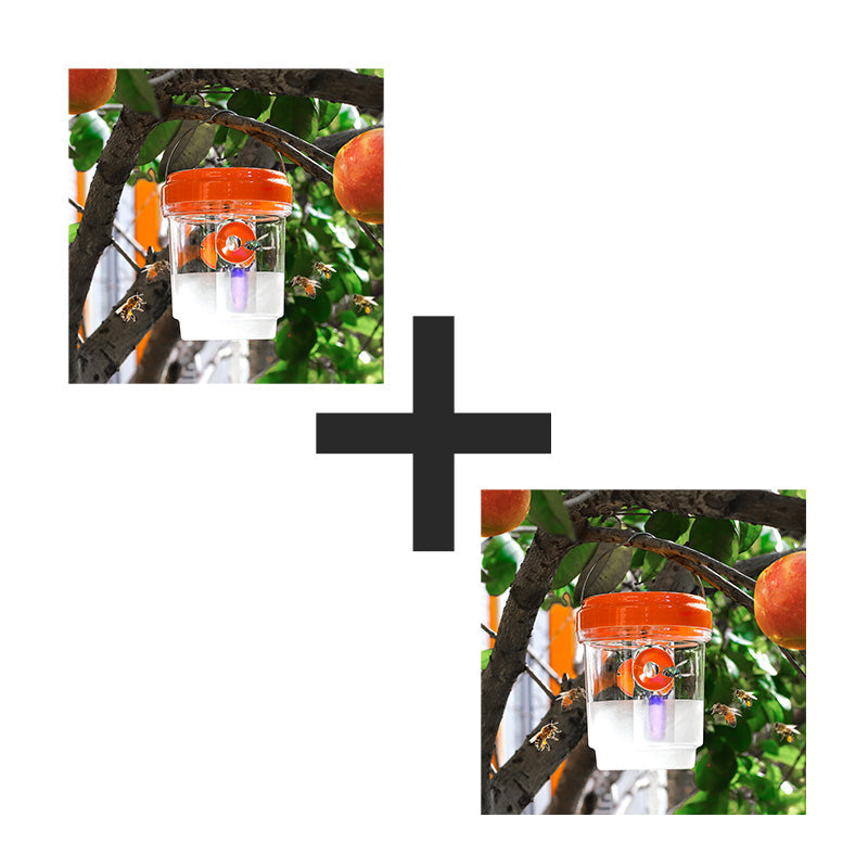 🔥New Hot Selling| Solar-Powered Hanging Wasp and Fly Trap