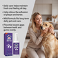 Pet Breath Freshener Oral Spray for Dogs & Cats| 🎁Special Offer-Buy 3 Gert 1 Free