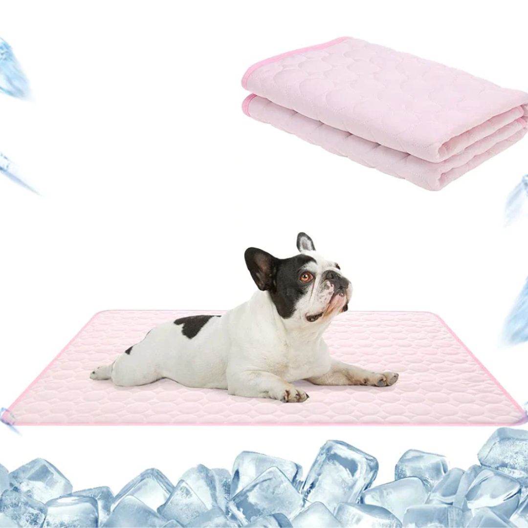 🔥Summer Hot Sale 50% OFF🧊Premium Cooling Mat For Pet