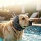⏰Waterproof Dog Hoodie – Calming fit & weather‑ready ✨