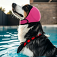 ⏰Waterproof Dog Hoodie – Calming fit & weather‑ready ✨