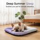 🔥LAST DAY SALE ❄Pet Cooling Mat for Dogs & Cats 🐾  Naturally Cool Ice-Silk Pad Breathable, Washable & Soft 🌿  For Floors, Sofas & Car Travel 🐶🐱