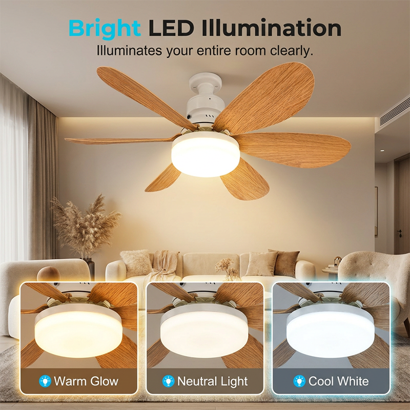 2-in-1 Smart Ceiling Fan Light