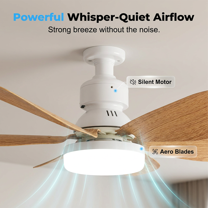 2-in-1 Smart Ceiling Fan Light