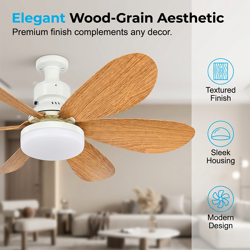 2-in-1 Smart Ceiling Fan Light