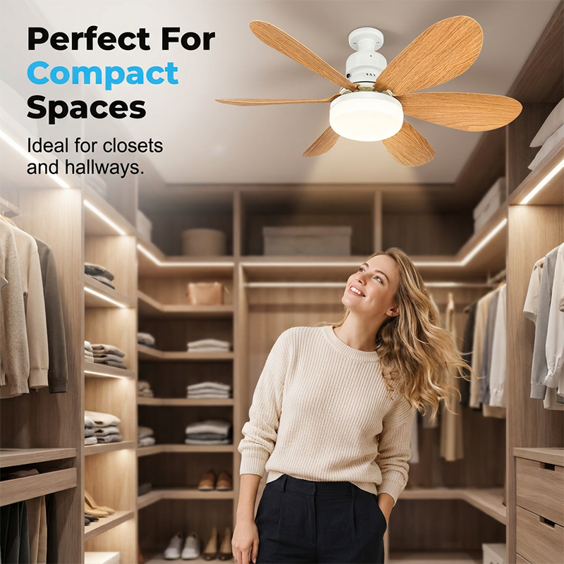 2-in-1 Smart Ceiling Fan Light