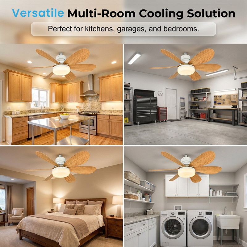 2-in-1 Smart Ceiling Fan Light
