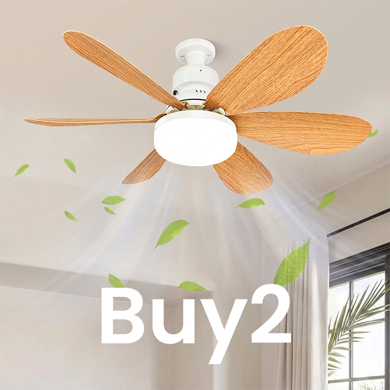2-in-1 Smart Ceiling Fan Light