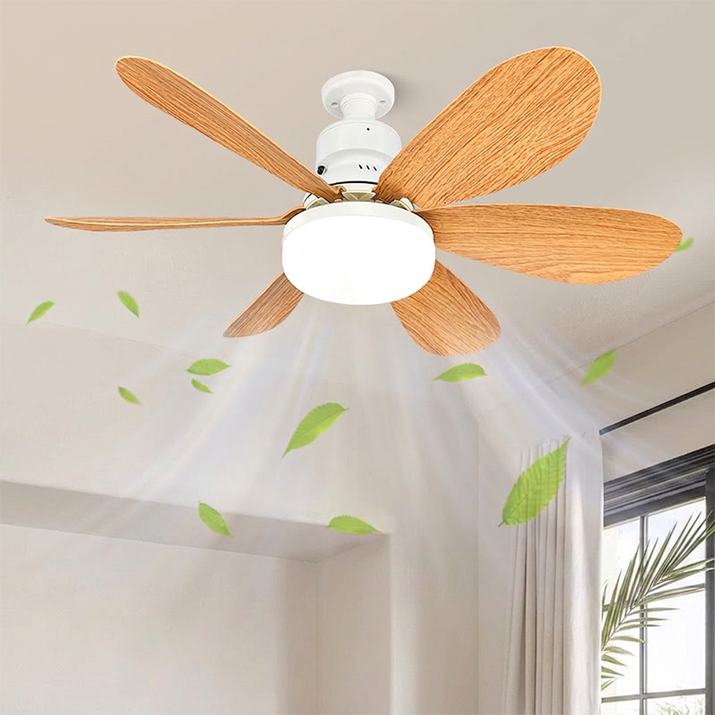 2-in-1 Smart Ceiling Fan Light
