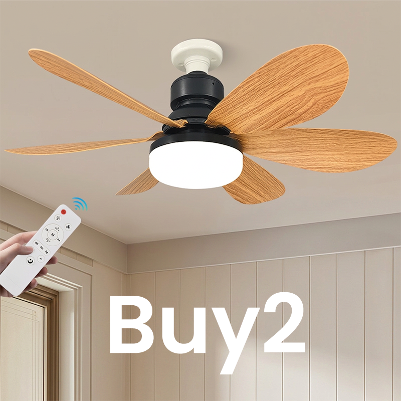 2-in-1 Smart Ceiling Fan Light